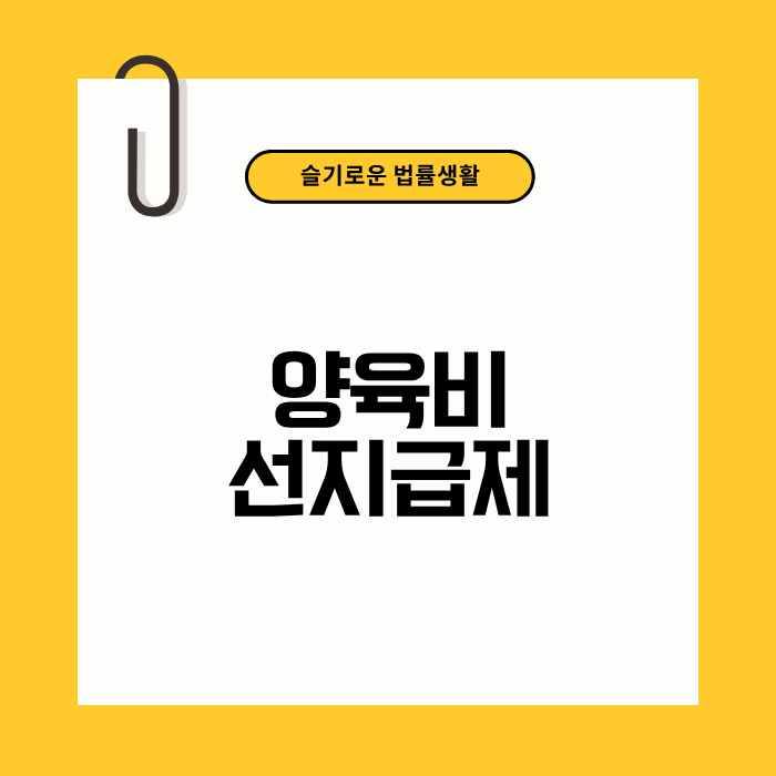 양육비선지급제